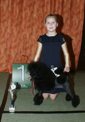 Juniorhandler